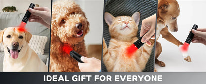 Red Light Therapy Lamp 660nm Red Light &amp; 850nm Infrared Lamp Therapy Torch with Timer Portable LED Small Torch Body Pain Relief