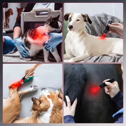 Red Light Therapy Lamp 660nm Red Light &amp; 850nm Infrared Lamp Therapy Torch with Timer Portable LED Small Torch Body Pain Relief